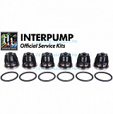 Ремкомплект Interpump Kit 43